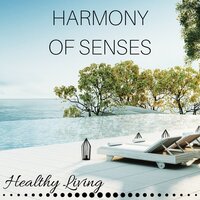 Meditation Deep Sleep Music - Hindi Kora