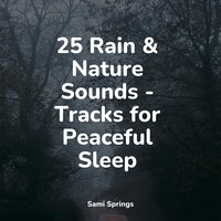 Late Night Rains - Loopable Rain & Academia de Música para Massagem Relaxamento & Chillout Lounge