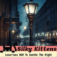 A Time for Us - Silky Kittens