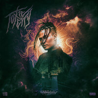 VISION - VEMLYIE