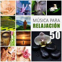 Música Ambiental para Relajación - Academia de Música para el Alma