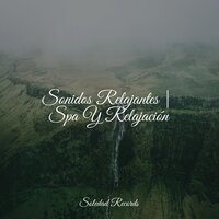 Curación - Musica Meditaction & Academia de Meditação Buddha & Música Relajante para Perros