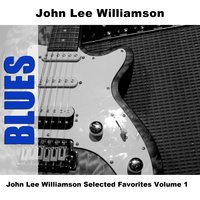 I Have Got To Go - John Lee Williamson