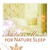 Ocean of Silence - New Age Sleeping Music