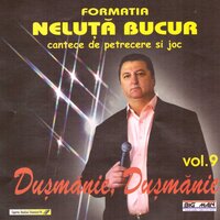 Sarba - Neluta Bucur