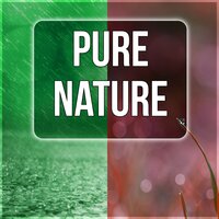 Essential Oils & Home Spa - Mothers Nature Music Academy
