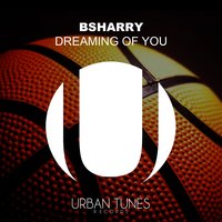 Dreaming of You - Bsharry
