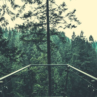 Marvellous Ambience for Relaxing Moods - Soft Jazz Playlists