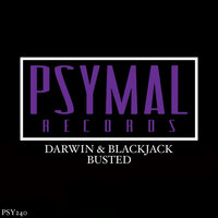 Busted - Darwin & BlackJack
