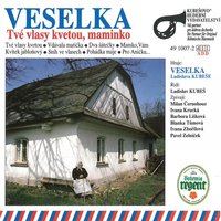 Sníh ve vlasech - Ladislav ml. Kubeš, Blanka Tůmová, Ivana Zbořilová, Veselka Ladislava Kubeše & Veselka Ladislava Kubeše & Blanka Tůmová & Ladislav ml. Kubeš & Ivana Zbořilová
