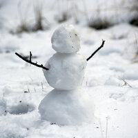 Olaf - The Disneylanders