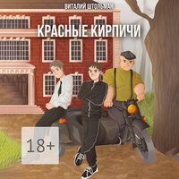 Виталий Штольман. «Красные кирпичи». Часть 22 - Семён Ващенко