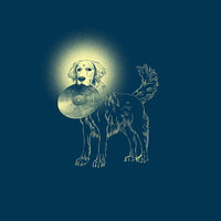Situs Inversus - Retriever