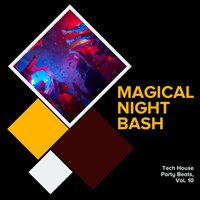 In the Last Club - EDM Rave Festival & Festival Disco & Tech-House Disco