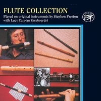 Sonata in E Minor: I. Allegro - Stephen Preston & Lucy Carolan