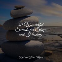 Kiss in the Spring - Música para Relaxar Maestro & ZEN & Tranquility Spa Universe