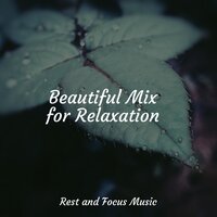 Mindfulness Spa - Musique Zen Garden & Relaxing Sleep Sound & Happy Baby Lullaby Collection