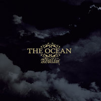 Queen Of The Food-Chain - The Ocean