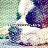 Plot To Sleep - Sounds Of Nature Relaxation