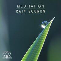 Meditation: Rain Sounds, Pt. 21 - Meditation Zen Master