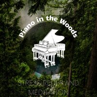 Quiet Time - Piano Dreamers & Piano in the Woods/ Meditation Music therapy