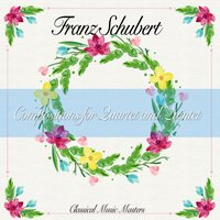 Quintet for Strings in C Major, Op. 163 D.956: IV. Allegretto - Isaac Stern, Alexander Schneider, Milton Katims, Pable Casals, Paul Tortelier & Isaac Stern & Paul Tortelier & Alexander Schneider & Milton Katims & Pable Casals & Франц Шуберт