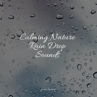 Rain, Storm and Thunder - Deep Sleep Music Delta Binaural 432 Hz & Massagem & Nature and Rain