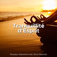 Sommeil profond - Oasis de Méditation & Musique Zen Garden & Musique Zen Garden & Oasis de Méditation