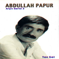 Bir Yel Gibi Esti Geçti - Abdullah Papur