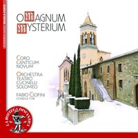 A Little Carol's Symphony on Traditional Themes - Orchestra Teatro Cucinelli Solomeo & Fabio Ciofini