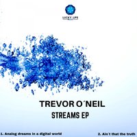 Digital Dreams In An Analog World - Trevor O'Neil