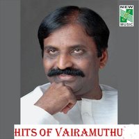 Karisal Tarisal (From "Taj Mahal") - Sree Kumar & Chitra