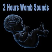 2 Hours Womb Sounds (Gets Baby to Sleep Fast! Calms Crying Babies & Colic) - Womb Sounds