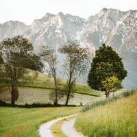 Calm & Comfortable - Serenity Spa Music Relaxation & Sleep Sound Library & Yoga Namaste