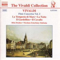 Flute Concerto in G Minor, Op. 10 No. 2, RV 439 "La notte": I. La notte: Largo - Bela Drahos & Nicolaus Esterhazy Sinfonia & Антонио Вивальди