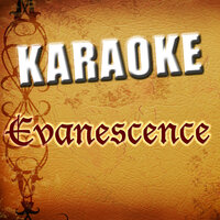 Bring Me To Life - Starlite Karaoke