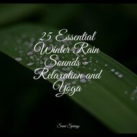Rainy Beach - Tinnitus & Big Sounds & Reiki Tribe