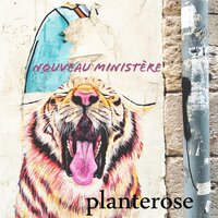 Ni Froid Ni Chaud - Planterose