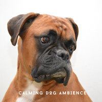 An Unbreakable Bond - Dog Chillout Zone