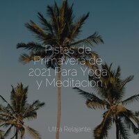 Luz Limpiadora - Relajarse & Lluvia PQ & Hipnose Natureza Sons Coleção