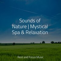 Woodchuck Firewood - Meditacao Clube & Best Kids Songs & Best Relaxing Spa Music