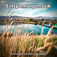Jene Töne - Entspannungsmusik & Schlafmusik & Entspannungsmusik Sebastian Noiro
