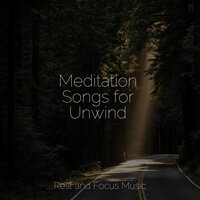 Journey to Dreamland - Sleep Meditation Dream Catcher & Amazing Spa Music & Studying Music