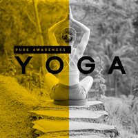 Controlling Body and Mind - Namaste Yoga Academy