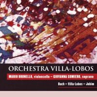 Four Songs: Desafinado - Orchestra Villa-Lobos & Mario Brunello & Eddy De Fanti