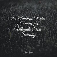 Water, Creek, Stream, Birds - Nature Sounds Collection & The White Noise Zen & Meditation Sound Lab & The Relaxing Sounds of Water