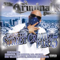 Straight Riderz - Mr. Criminal