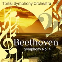 Piano Concerto No. 4, Op. 58: I. Allegro Moderato - Александр Титов & Vladimir Shakin & New Classical Orchestra Saint Petersburg & Ludwig van Beethoven