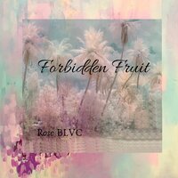 Never Knew - Rose BLVC