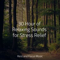 Birds on a Tree - Preschool Kids & Especialistas de Musica para Dormir & Deep Relaxation Meditation Academy